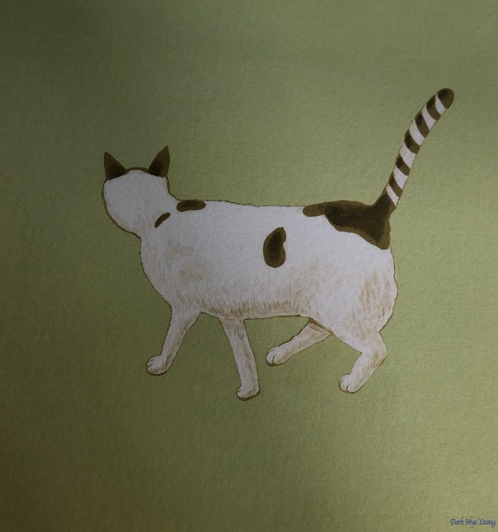 cat