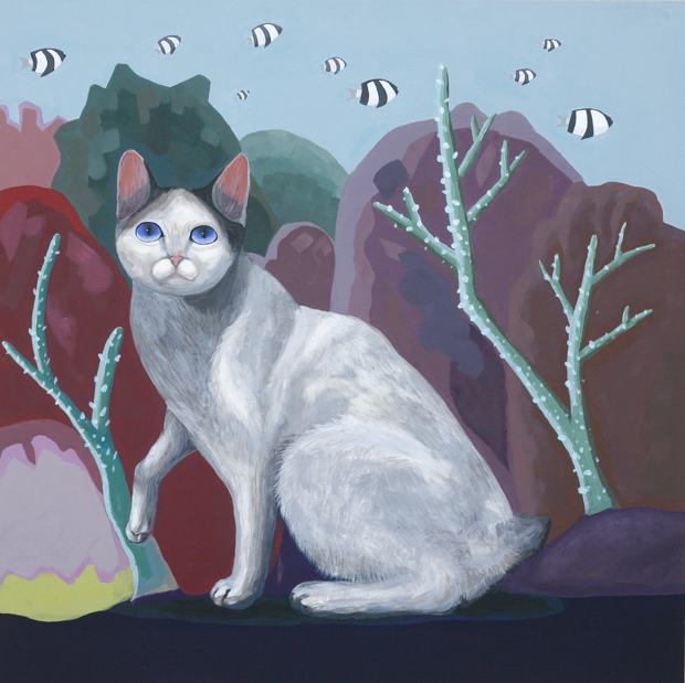 cat