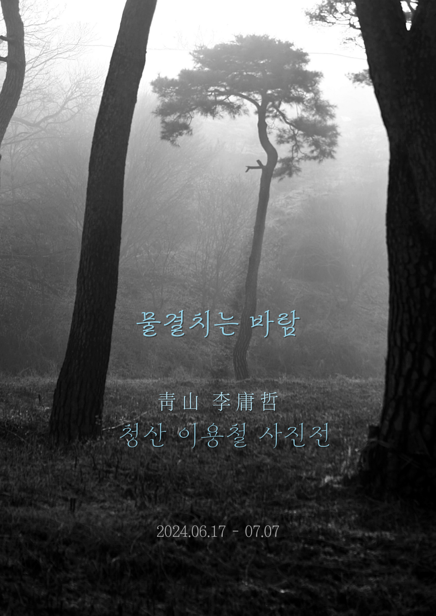 청산 이용철 사진전 | 2관 물결치는 바람