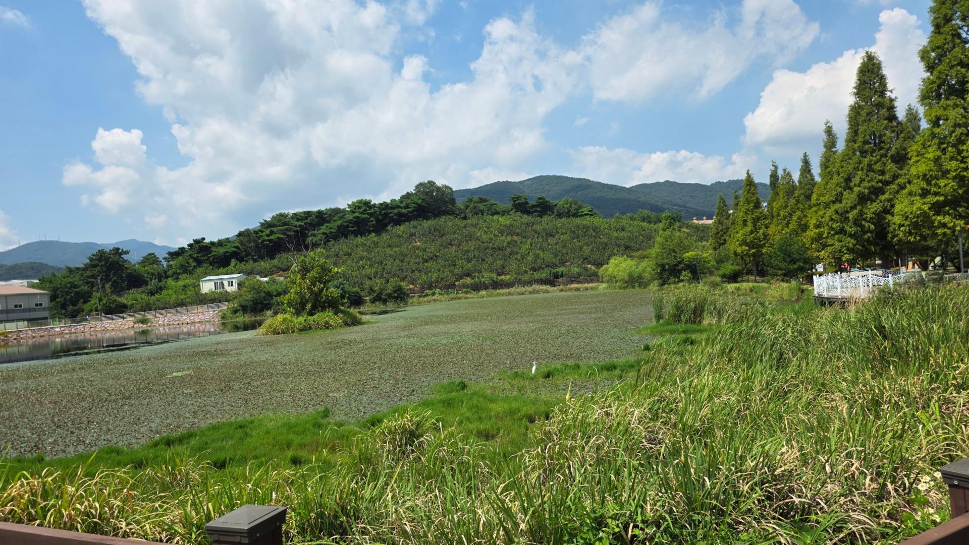 황진환님의 전시회