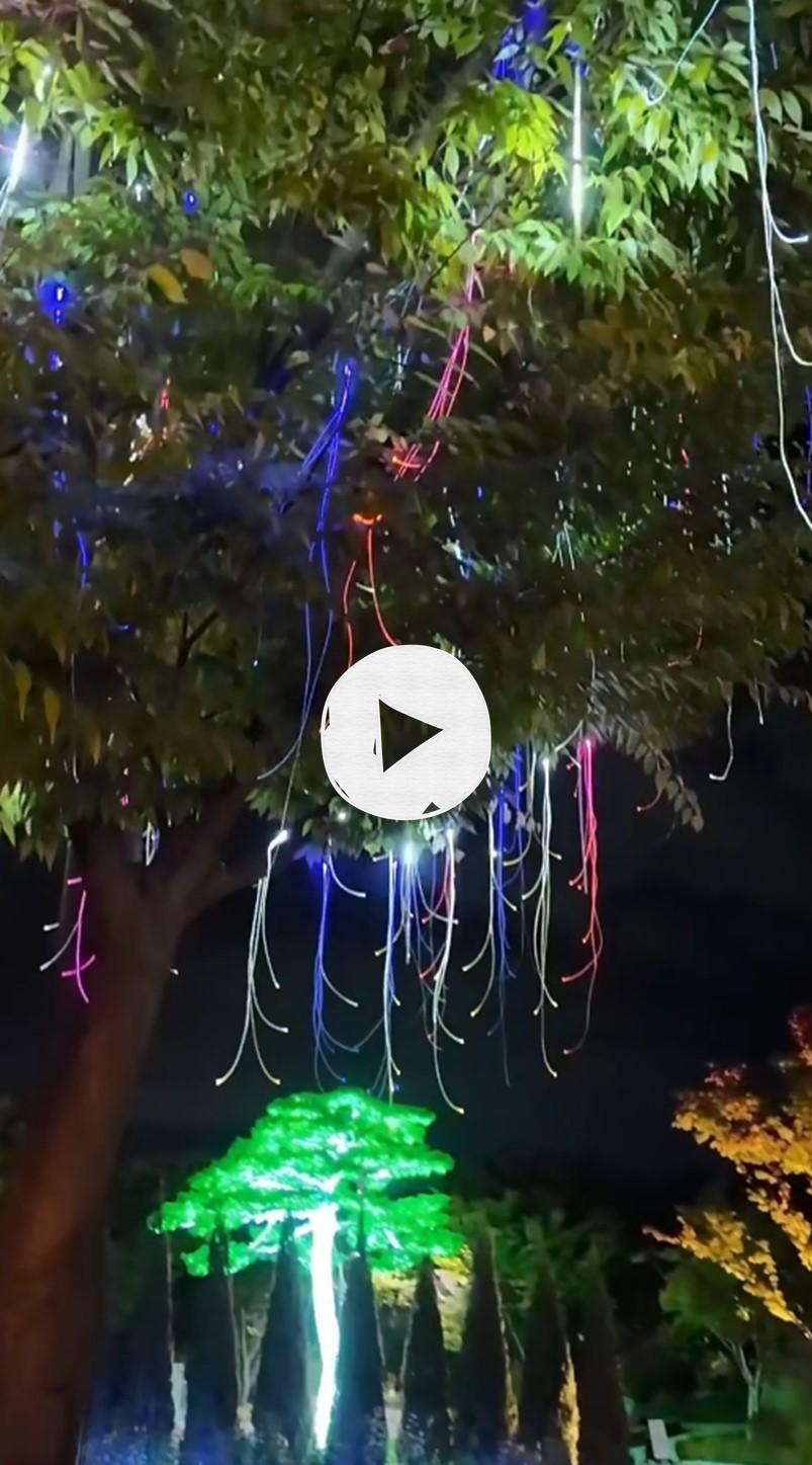 가성비 용인 여행