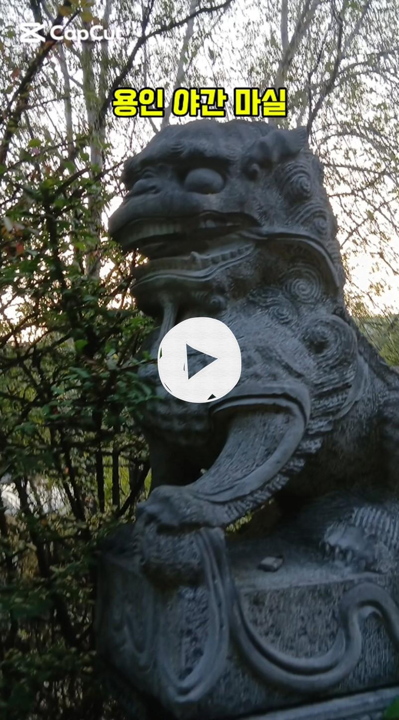 (우리 가족이 함께한 즐거운) 용인 야간 마실